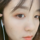 飞起的小鳄鱼