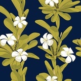 菱毓