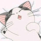 晴天小猫