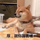 风声