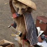 喜怒无常小火龙