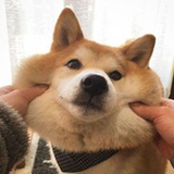 銀次