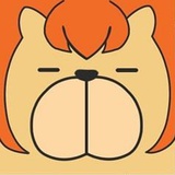 面B