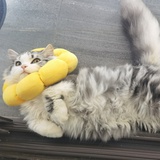 美手控