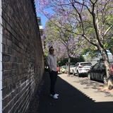 匆匆过客