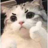 眇翁