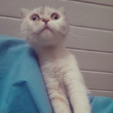 Choco_Chang