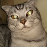 眼睛