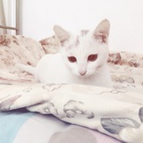 구금이