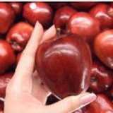 apple&Apple 