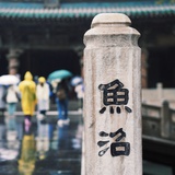 荔荔