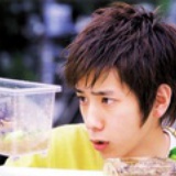 花落花开自有时