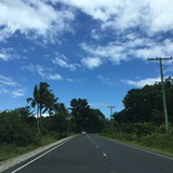 艾泊