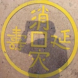 范德一彪 11.11
