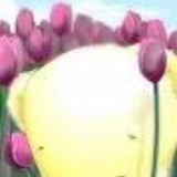 草莓说