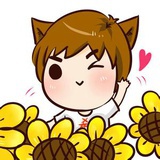 冬辰