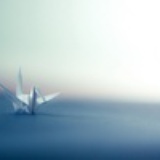 江南一米虫