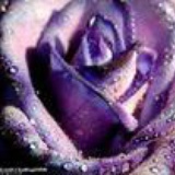 yaner