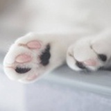 人类213号