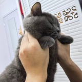 彩虹降落伞