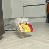 厂长的头号粉丝