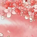 山山爱看电视