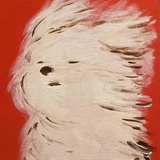 Xiaoman Q