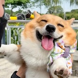 二
