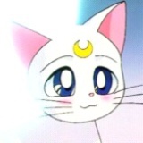 Toc西西~