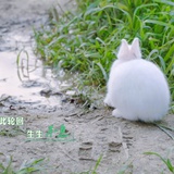 jumping