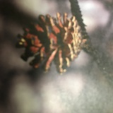 木木在暴富