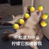 萧平旌