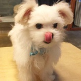 玛丽麻麻