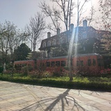 YX