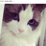 静默如海