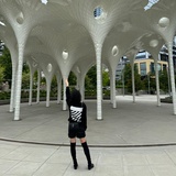Stellazero