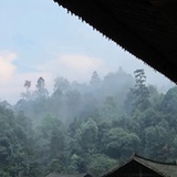 跑偏君