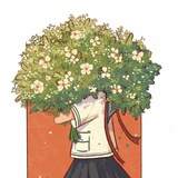 木木槿花