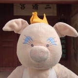 小猪球球