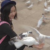 鼠鼠的梦