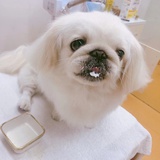 豆友43523291