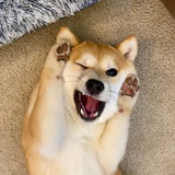 你好可爱