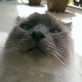 一扭一扭