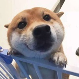 Alextion