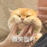 嘻米鹿。