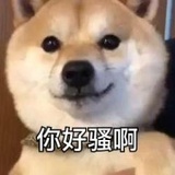 认真的你
