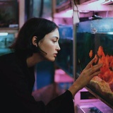 ◣不仙