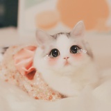 十二