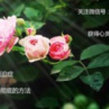 欣喜网-正能量