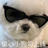 偷心小狗勾🐶